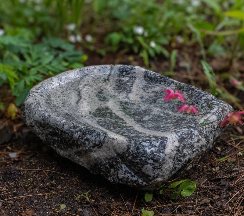 **NEW** Puddle Stones – Dances With Stone
