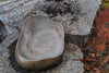 Imperfect River Stone Bath/Feeder (smaller size)