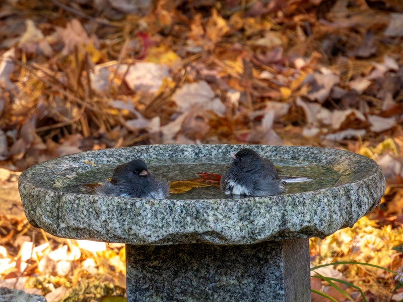 Our Original Handcrafted Granite Bird Bath, FREE UPS  Shipping, Eight Different Sizes