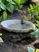 Our Original Handcrafted Granite Bird Bath, FREE UPS  Shipping, Eight Different Sizes