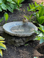 Our Original Handcrafted Granite Bird Bath, FREE UPS  Shipping, Eight Different Sizes