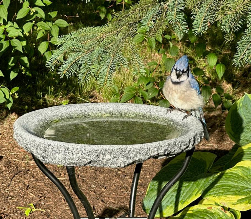 Our Original Handcrafted Granite Bird Bath, FREE UPS  Shipping, Eight Different Sizes