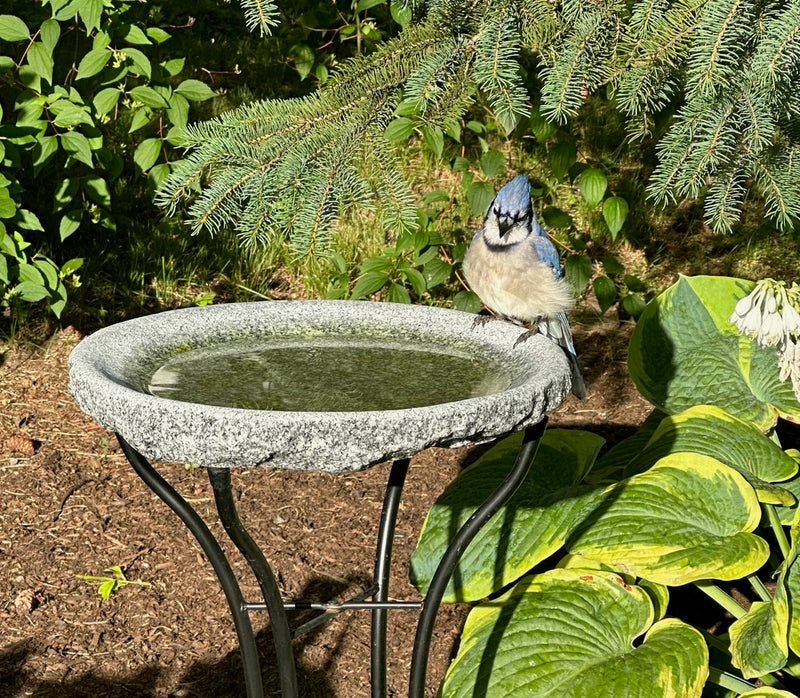 Our Original Handcrafted Granite Bird Bath, FREE UPS  Shipping, Eight Different Sizes