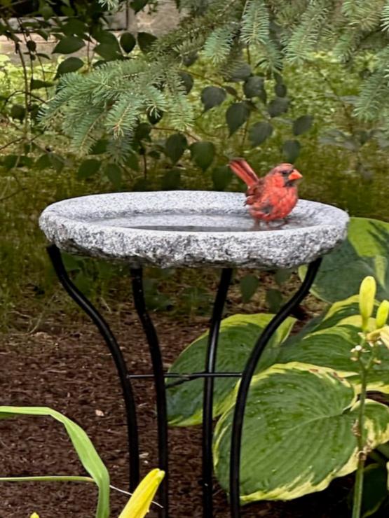 Our Original Handcrafted Granite Bird Bath, FREE UPS  Shipping, Eight Different Sizes