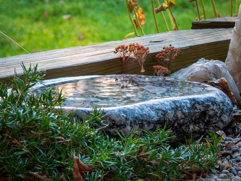 **NEW** Puddle Stones – Dances With Stone