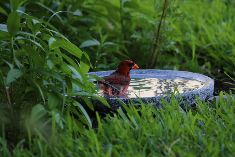 New Granite Bird Bath, Made in New Hampshire,  Four Different Sizes
